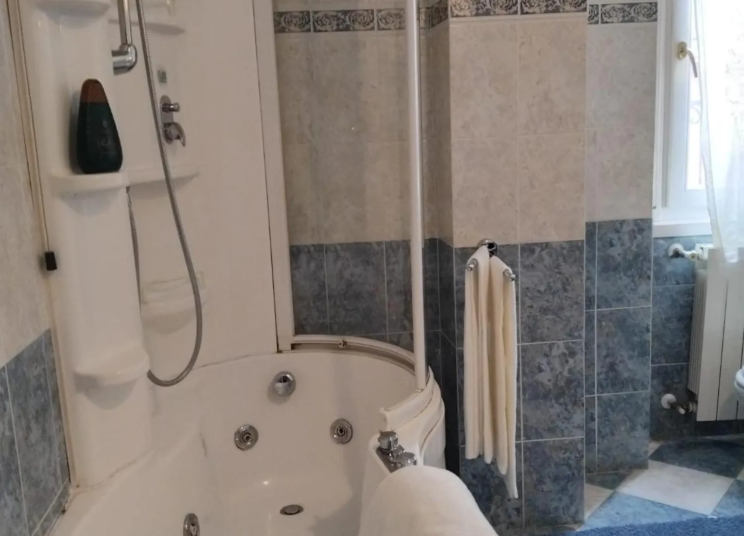 Iris- Brescia Old Town Apartment